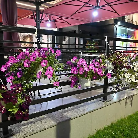 Hotel Vino 4*